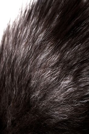 Анальная втулка Sulver с хвостом черно-бурой лисы
